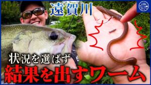 【バス釣り】状況を選ばず結果を出すワーム「スパテラ7.8in」で攻略 | 遠賀川【釣り時季】