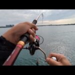 本日超最速浜名湖タコエギ情報📢7月12日（土曜日）異常事態かも…🐙