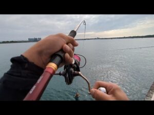 本日超最速浜名湖タコエギ情報📢7月12日（土曜日）異常事態かも…🐙