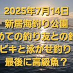 新居海釣り公園　7月14日サビキと泳がせ釣り　最後に高級魚？