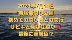 新居海釣り公園 7月14日サビキと泳がせ釣り 最後に高級魚?