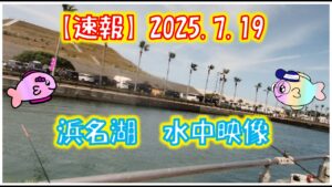 7月19日　浜名湖　釣り　濁りの中に魚がいる！