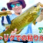 【野尻湖】7月上旬、朝から爆釣！ライトリグで狙う夏のスモールマウスバス【釣りVlog】