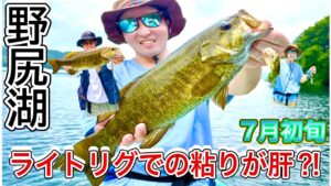【野尻湖】7月上旬、朝から爆釣！ライトリグで狙う夏のスモールマウスバス【釣りVlog】