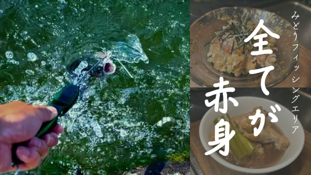 【#9】RELIER(ルリエ) - 全てが赤身［in みどりフィッシングエリア］/エリアトラウト/管釣りタイトルなし