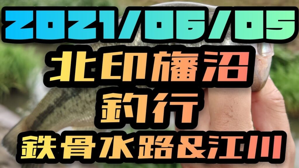 印旛沼 水系 鉄骨水路&江川 釣行 バス釣り BASSfishing