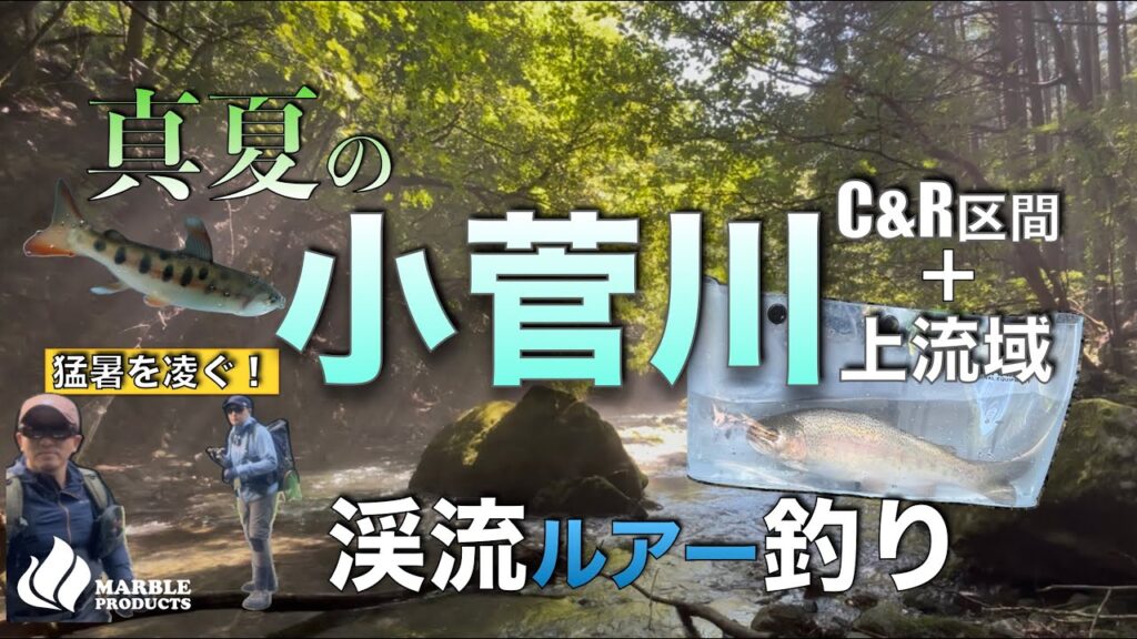【小菅川】で猛暑の渓流ルアー釣り/蝉パターンにも挑戦【C&R区間】夏ヤマメを追う【上流域】夏も涼しい渓流釣り【ベイトフィネス】