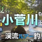 【小菅川】で猛暑の渓流ルアー釣り/蝉パターンにも挑戦【C&R区間】夏ヤマメを追う【上流域】夏も涼しい渓流釣り【ベイトフィネス】