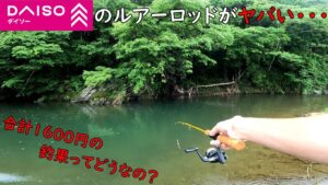 DAISOのルアーロッドってヤバくないですか？釣れ過ぎて(笑)
