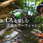 DAIWA Silver Creek ~ チェイスを楽しむ渓流ルアーフィッシング