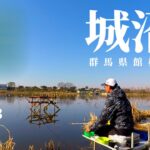 【城沼】Day3　ハタキ前の荒食い狙い！　へらぶな釣り