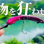 【圧倒的】渋い時間でも嘘みたいに大物が釣れる怪物ルアーが誕生しました...【エリアトラウト】【管理釣り場】【鹿島槍ガーデン】【ボーノ F】
