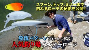 【FF中津川】ローカルアングラーが解説!完全無欠の放流ローテ #エリアトラウト #管理釣り場 #フィッシングフィールド中津川