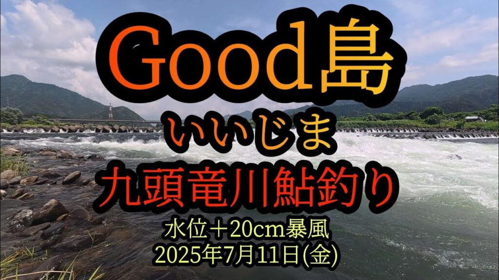 速報です！　Good島(いいじま)　九頭竜川鮎釣り　2025年7月11日