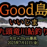 速報です！　Good島(いいじま)　九頭竜川鮎釣り　2025年7月11日