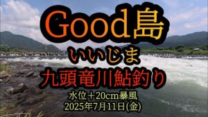 速報です! Good島(いいじま) 九頭竜川鮎釣り 2025年7月11日