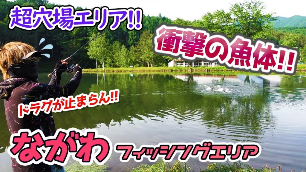 超穴場の管理釣り場！ながわフィッシングエリアにはヤバい魚が存在した！／HartDesign TV(ハートデザインTV) 【Vol.288】