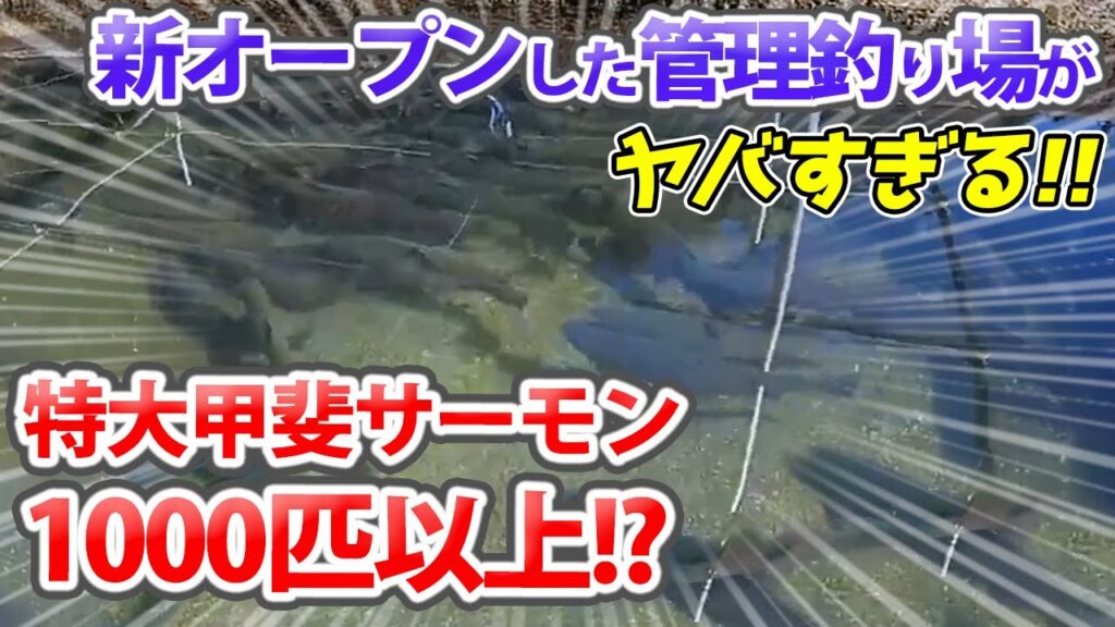 激ヤバな管理釣り場が新オープンしたので公開します【八丁堀・エリアトラウト・オーナー対談】／HartDesign(ハートデザイン)【Vol.404】
