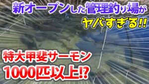 激ヤバな管理釣り場が新オープンしたので公開します【八丁堀・エリアトラウト・オーナー対談】／HartDesign(ハートデザイン)【Vol.404】