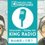 【KING RADIO】魚の病気ってどんなの？ inキングフィッシャー