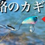 暴風の管理釣り場を攻略するカギは・・・【エリアトラウト　ベリーズ迦葉山　MASUKENコラボ】