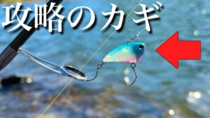 暴風の管理釣り場を攻略するカギは・・・【エリアトラウト　ベリーズ迦葉山　MASUKENコラボ】