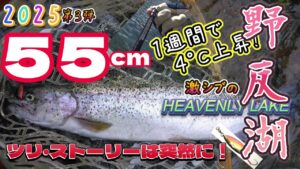 ツリ・ストーリーは突然に!激シブの野反湖でMake Fishing!最後にドラマが…2025野反湖 第三弾トラウトルアーフィッシング スプーンの釣り/Lake Nozori/Rainbow Trout
