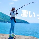 魚影が濃すぎてヤバい堤防へ愛車ホンダN-ONEで海釣り行ったら・・・