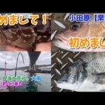NO.175 小田原【早川港】誰もいない港で大雨直後にやってみると･･･ 2025年7月中旬