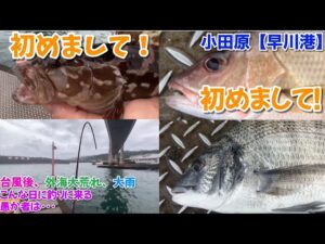 NO.175 小田原【早川港】誰もいない港で大雨直後にやってみると･･･ 2025年7月中旬