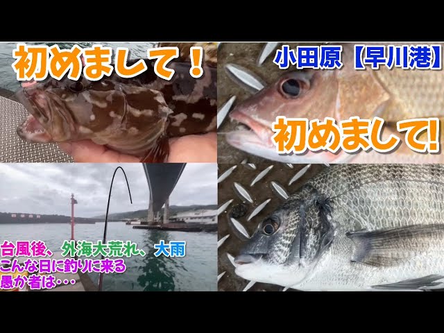 NO.175 小田原【早川港】誰もいない港で大雨直後にやってみると・・・ 2025年7月中旬