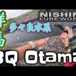 【群馬県バス釣り】群馬多々良沼水系にてビッグバス連発⁉︎ニシネNewルアーBQオタマで！