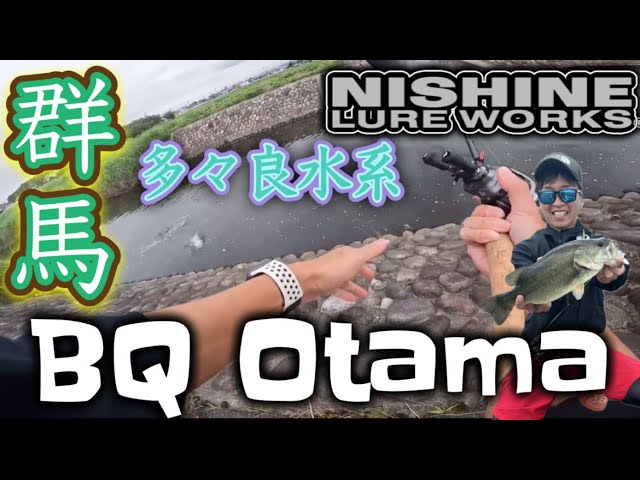 【群馬県バス釣り】群馬多々良沼水系にてビッグバス連発⁉︎ニシネNewルアーBQオタマで！