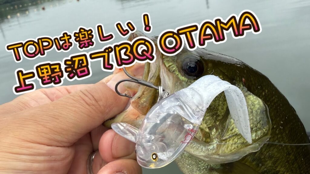 NishineLureWorks BQ Otama　〜上野沼実釣編〜