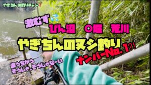 【びん沼 バス釣り】冬❗️やぎちんのヌシ釣り✨No.1 荒川？　○堀？