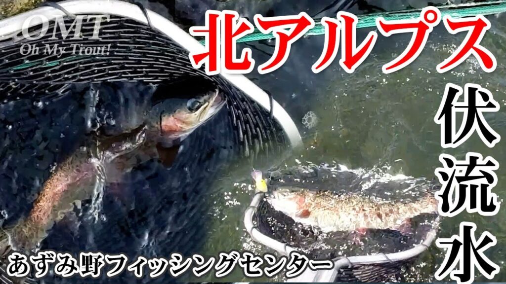 【あずみ野フィッシングセンター】北アルプス伏流水の管理釣り場【OMT Oh my Trout】
