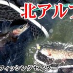 【あずみ野フィッシングセンター】北アルプス伏流水の管理釣り場【OMT Oh my Trout】