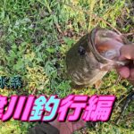【バス釣り】トップ釣行大津川編！！　平均サイズは〇〇　＃トップウォーター　＃ポップR　＃手賀沼