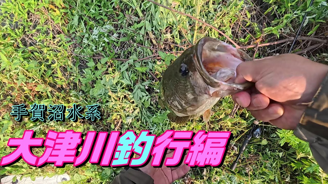 【バス釣り】トップ釣行大津川編!! 平均サイズは〇〇 #トップウォーター #ポップR #手賀沼