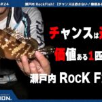 瀬戸内ROCK FISH（ロックフィッシュ）【チャンスは逃さない！価値ある1匹を釣る】田島・横島（福山市）2025.7.23 #24