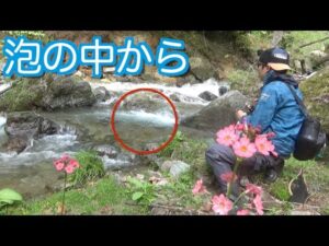 小さな川でルアー釣りしてみた　Small River Fishing