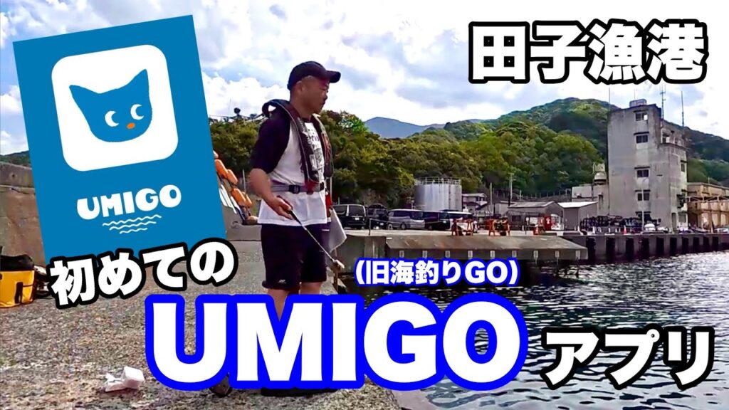 静浦漁港 ＆田子漁港【UMIGOアプリ（旧海釣りGO）】使ってみた