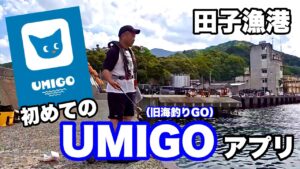 静浦漁港 ＆田子漁港【UMIGOアプリ（旧海釣りGO）】使ってみた