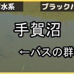 バス釣り！手賀沼のバスの群れ　VS　人間達