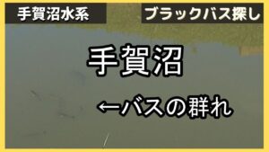 バス釣り!手賀沼のバスの群れ VS 人間達