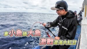 【台客去船釣】脫鉤斷線不計其數！用萬能鯖魚餌在滿滿的白帶舅中找紅甘！feat.錦豐順6號娛樂海釣船