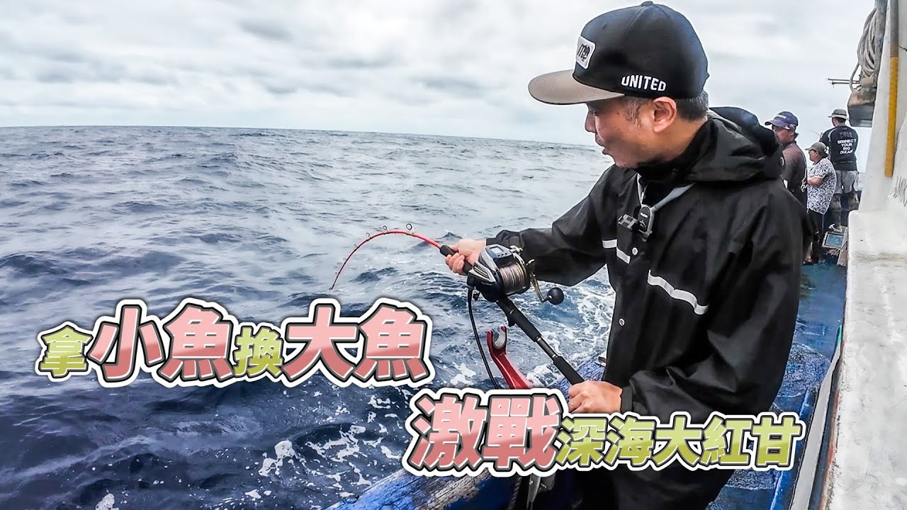 【台客去船釣】脫鉤斷線不計其數!用萬能鯖魚餌在滿滿的白帶舅中找紅甘!feat.錦豐順6號娛樂海釣船