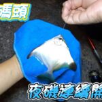 【游刃有魚】漁人碼頭 磯釣沉底雙開胡 竟然竿子差點被拖走！魚況出乎意料！漁人碼頭夜釣爆棚！鐵板 磯釣 沉底 天亞 岸拋 米諾 路亞 軟蟲 前打 #釣り #fishing #游刃有魚