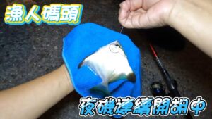 【游刃有魚】漁人碼頭 磯釣沉底雙開胡 竟然竿子差點被拖走！魚況出乎意料！漁人碼頭夜釣爆棚！鐵板 磯釣 沉底 天亞 岸拋 米諾 路亞 軟蟲 前打 #釣り #fishing #游刃有魚