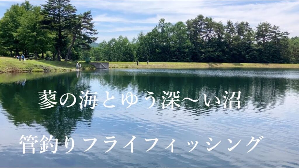 【管釣りフライ】蓼の海とゆうディープな沼について #flyfishing #フライフィッシング